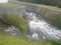 millstreet 10490.jpg